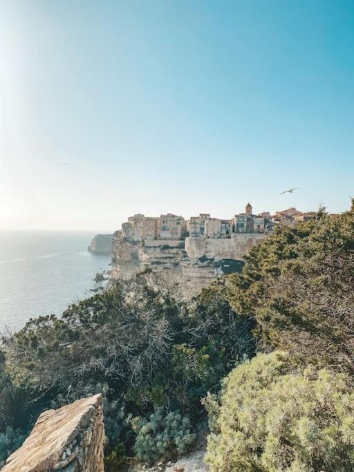 Bonifacio : Studio Au Coeur De La Citadelle 외부 사진